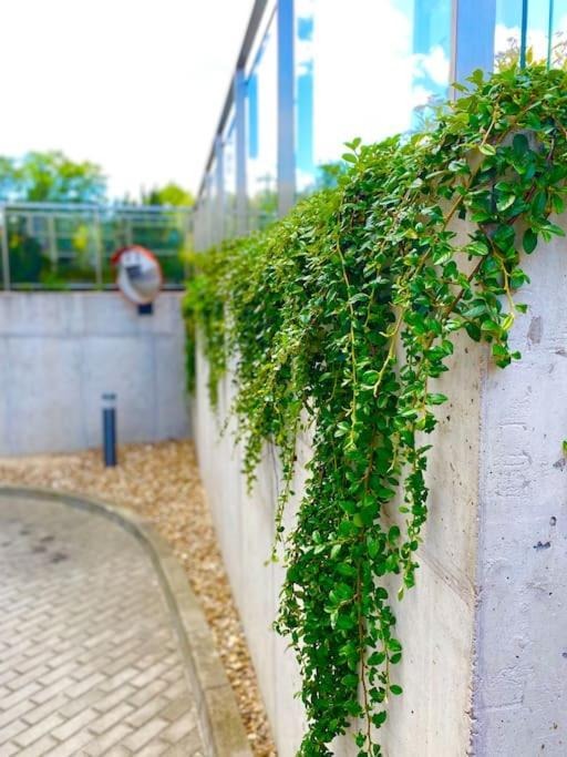Smart Art :) Z Bezplatnym Parkingiem Podziemnym Apartment Kielce Ngoại thất bức ảnh