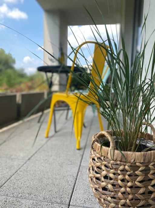 Smart Art :) Z Bezplatnym Parkingiem Podziemnym Apartment Kielce Ngoại thất bức ảnh