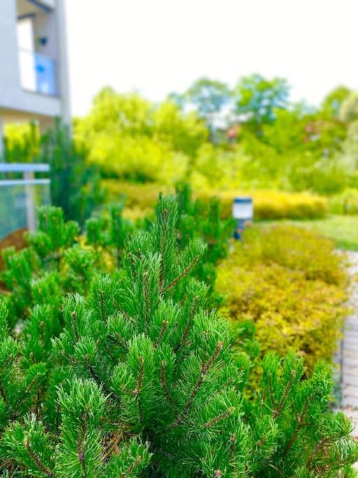 Smart Art :) Z Bezplatnym Parkingiem Podziemnym Apartment Kielce Ngoại thất bức ảnh